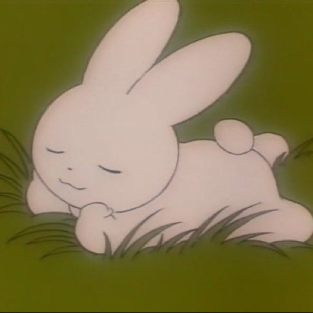 Meet your Posher, Bridgette